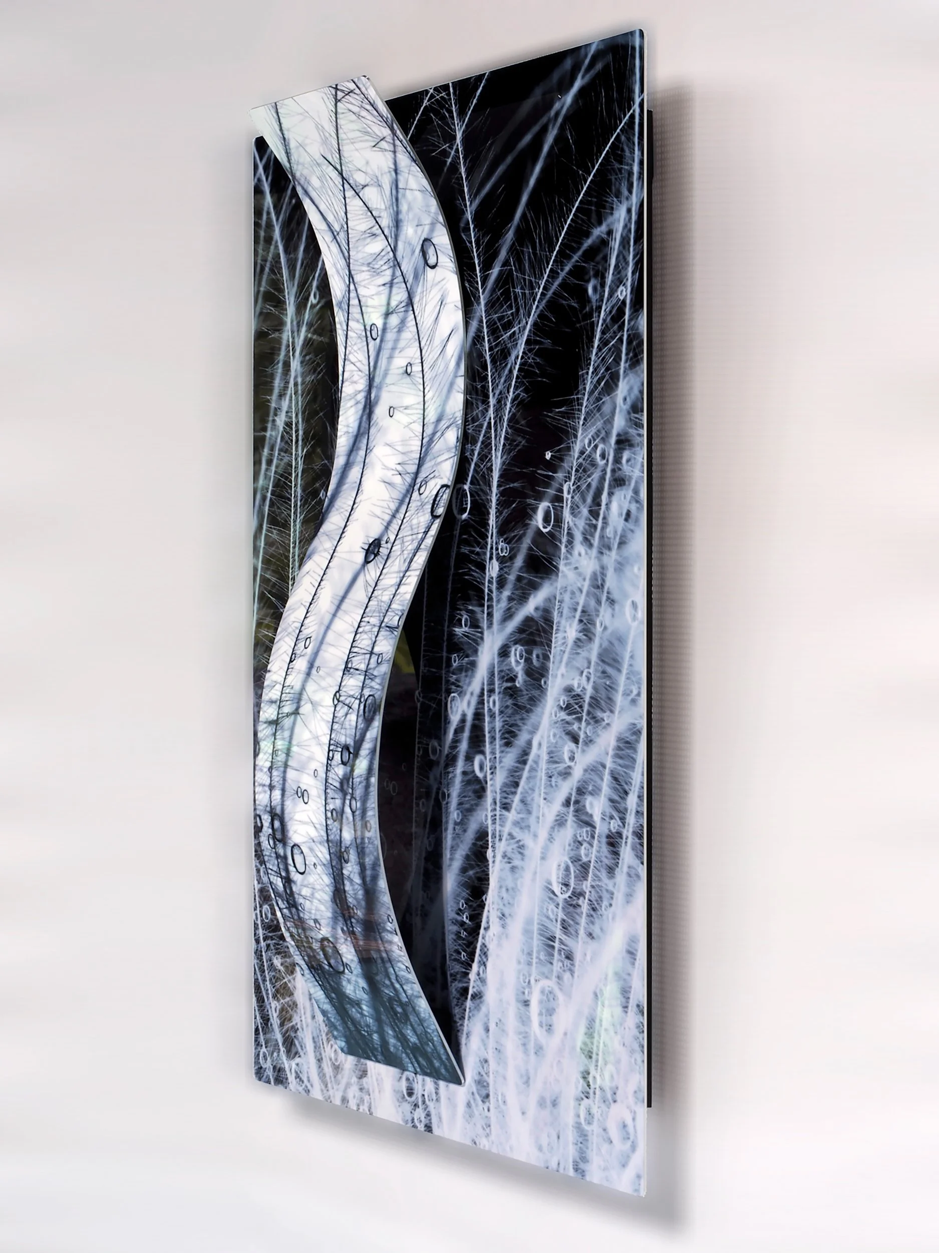 side view of close-up image of goose feathers with water drops