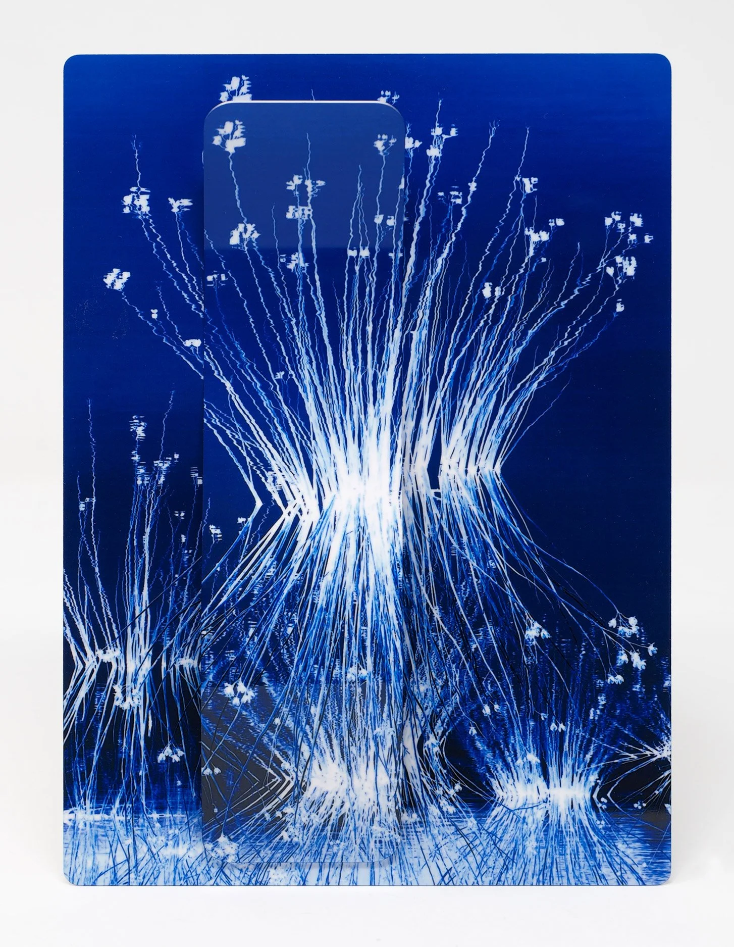 5 x 7 image of color-altered dried grass in pond