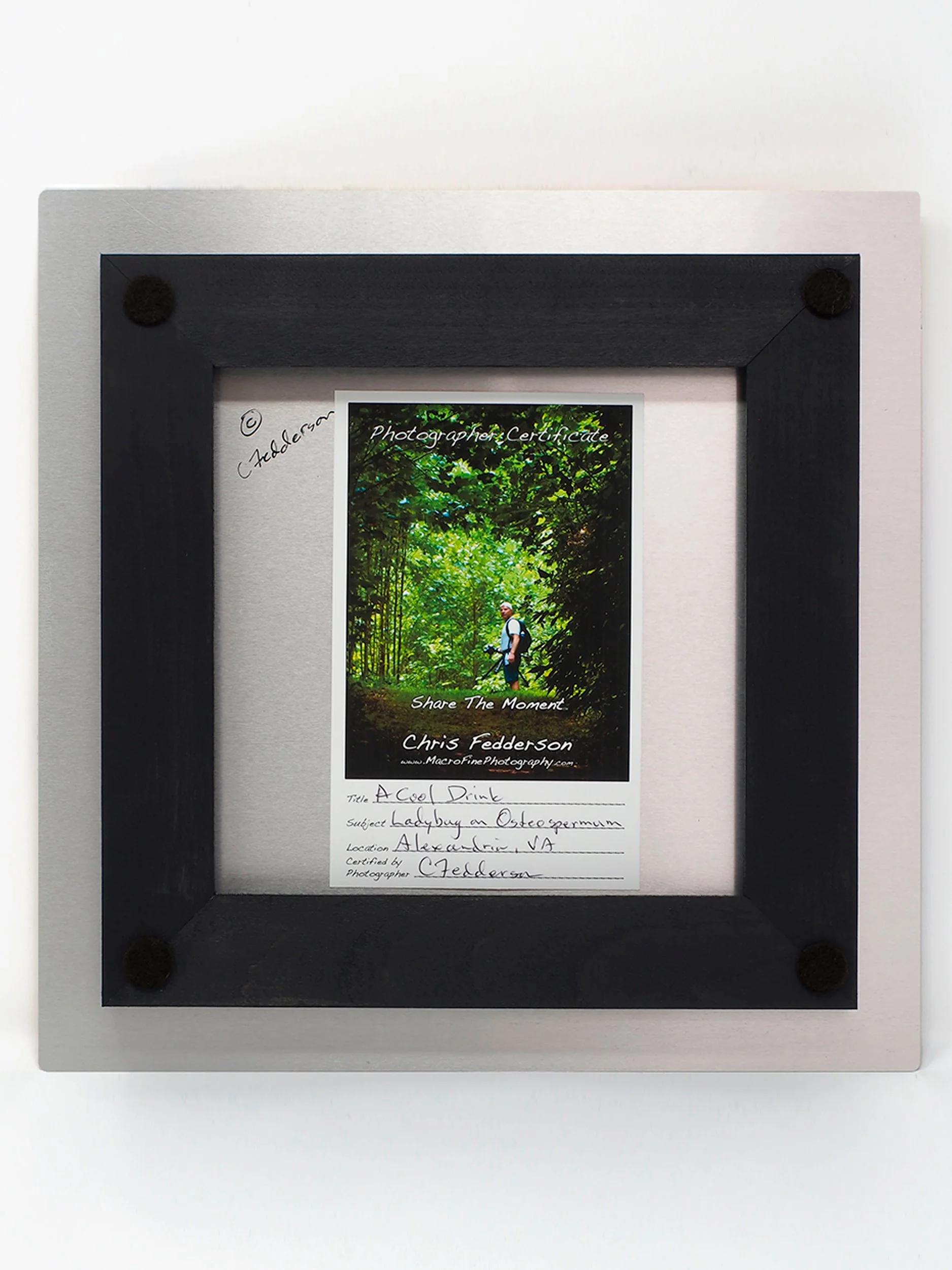 back of aluminum showing frame used for hanging