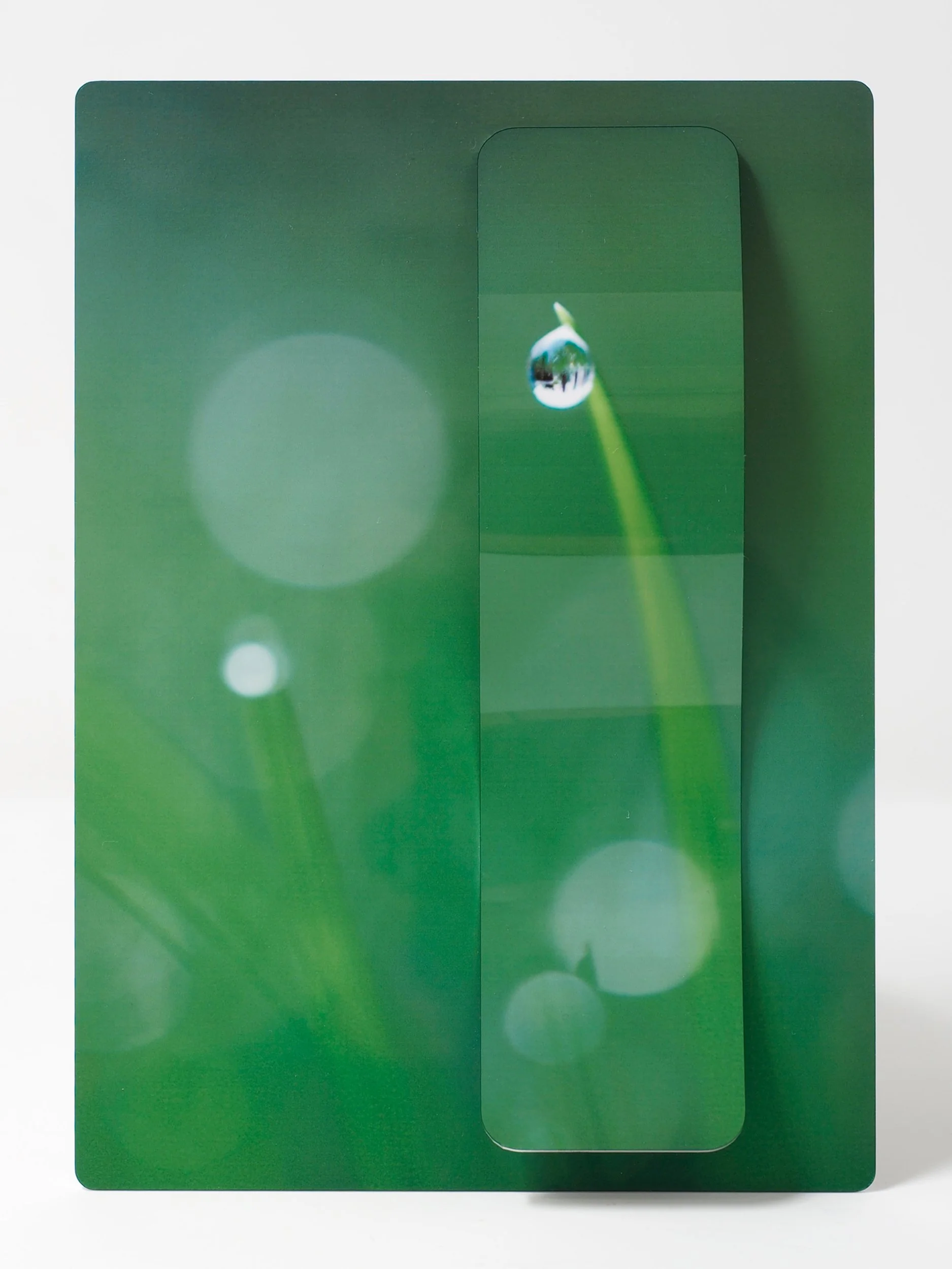 5 x 7 image of a water drop on the tip of a blade of grass