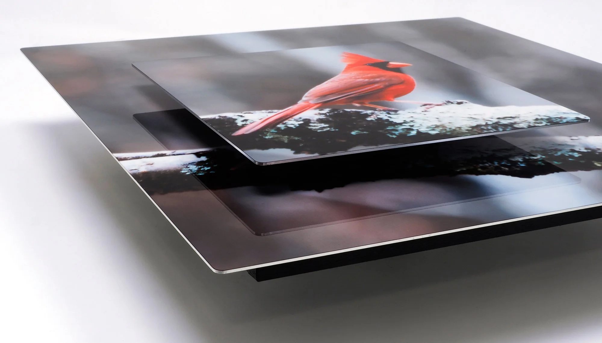 12 x 12 corner image of a red Cardinal on branch