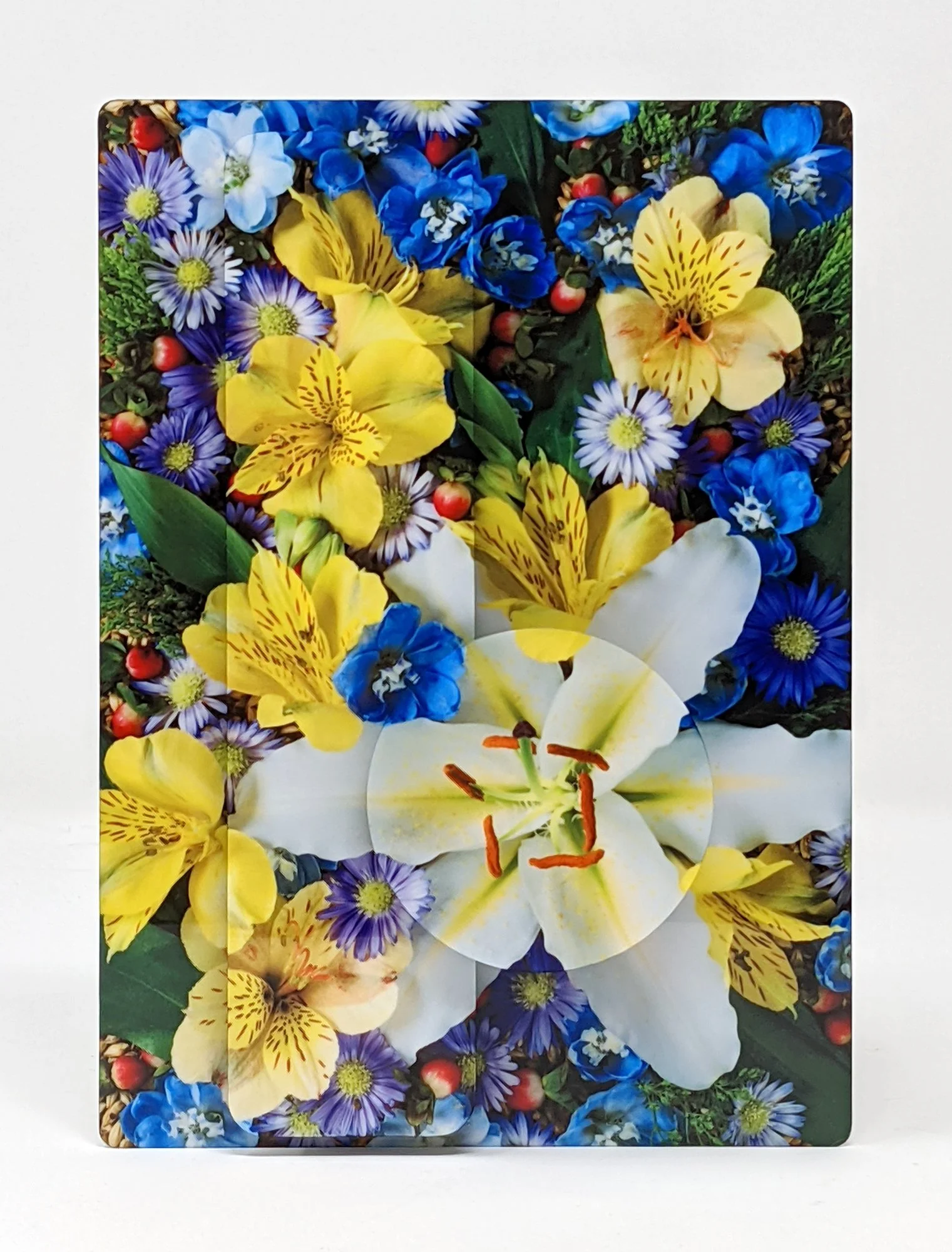 5 x 7 image of a field of flowers surrounding a white Lily