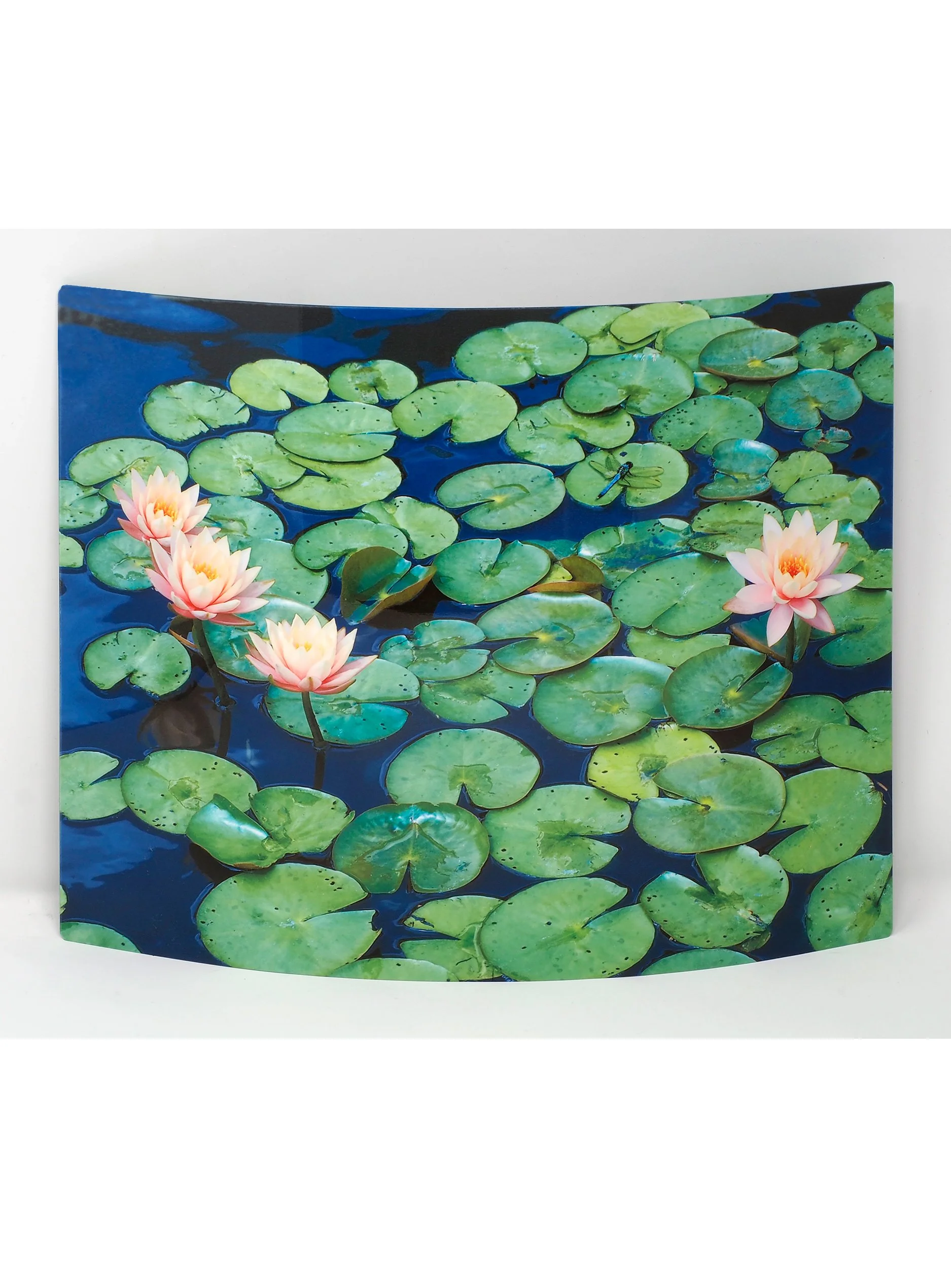 Aquatic-Tranquility-stand-up.jpg
