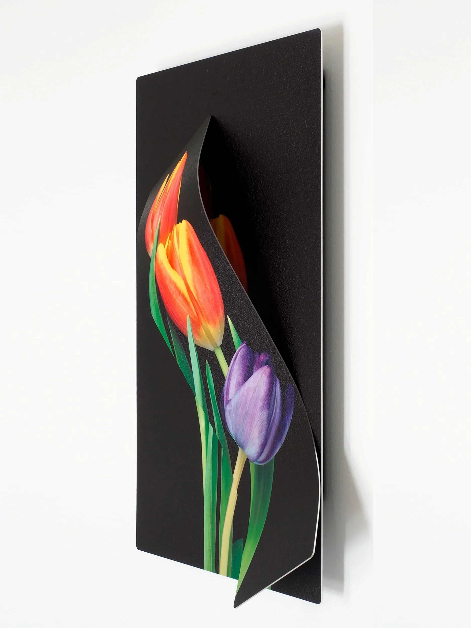 side view of 12 x 18 image of a trio of tulips