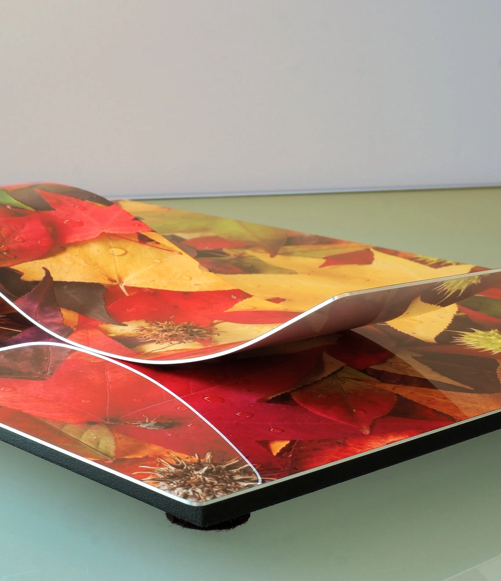 side-view-autumn-colors.jpg