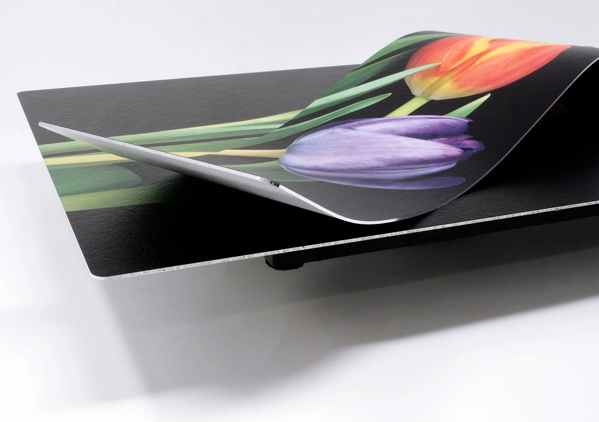 corner view of 12 x 18 image of a trio of tulips