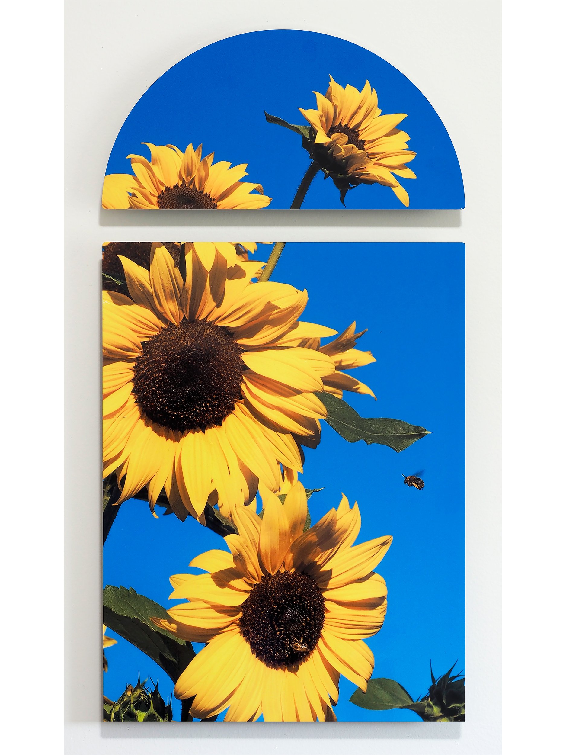 Incoming-12x16-2pc-front.jpg
