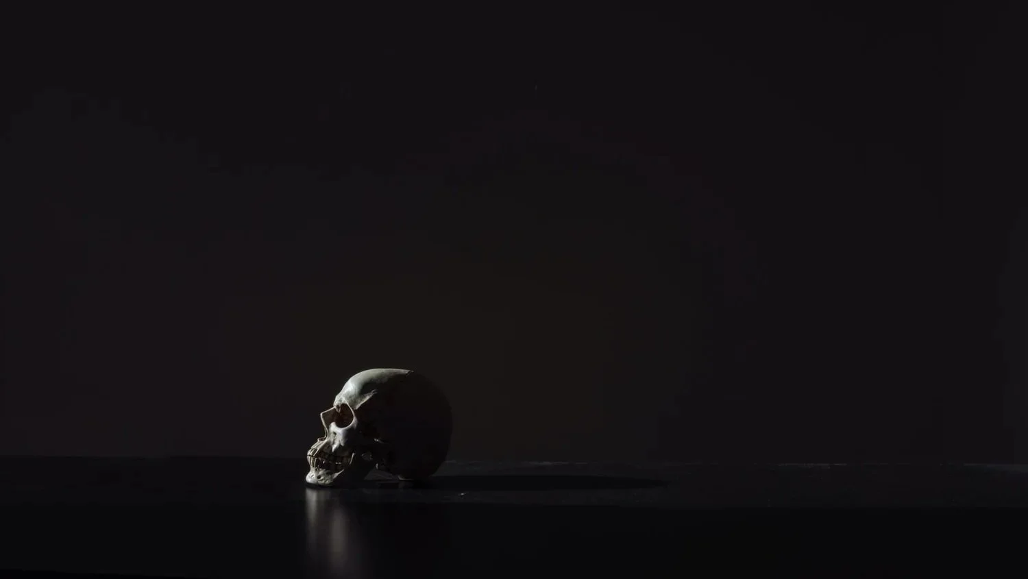 Minimal photograph of a human skull lit against a dark background — image for the story ‘Death Became Them’ by Terence Patrick Hughes.