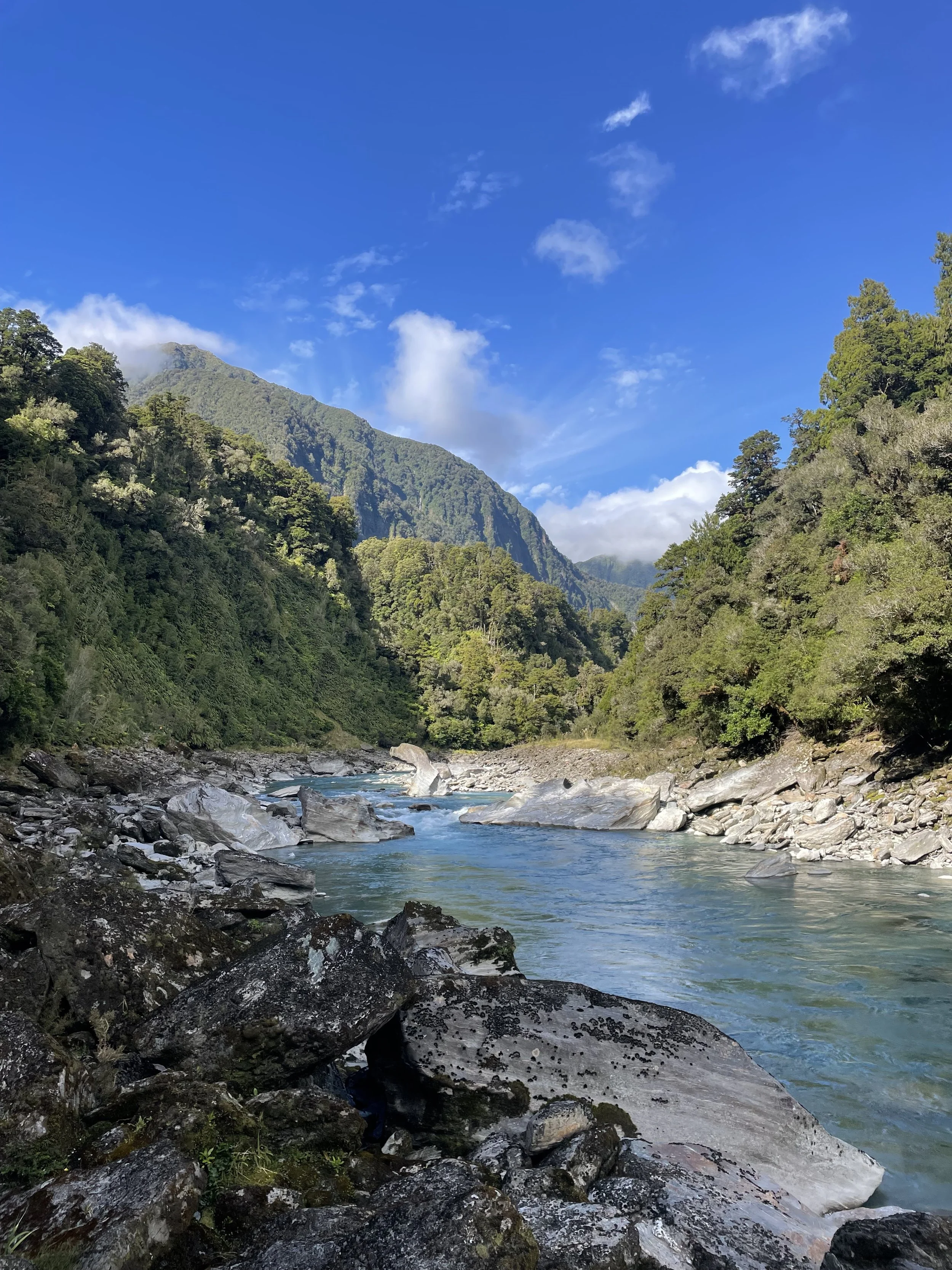 Picture taken by the author of the shore of the Coupland River.  
