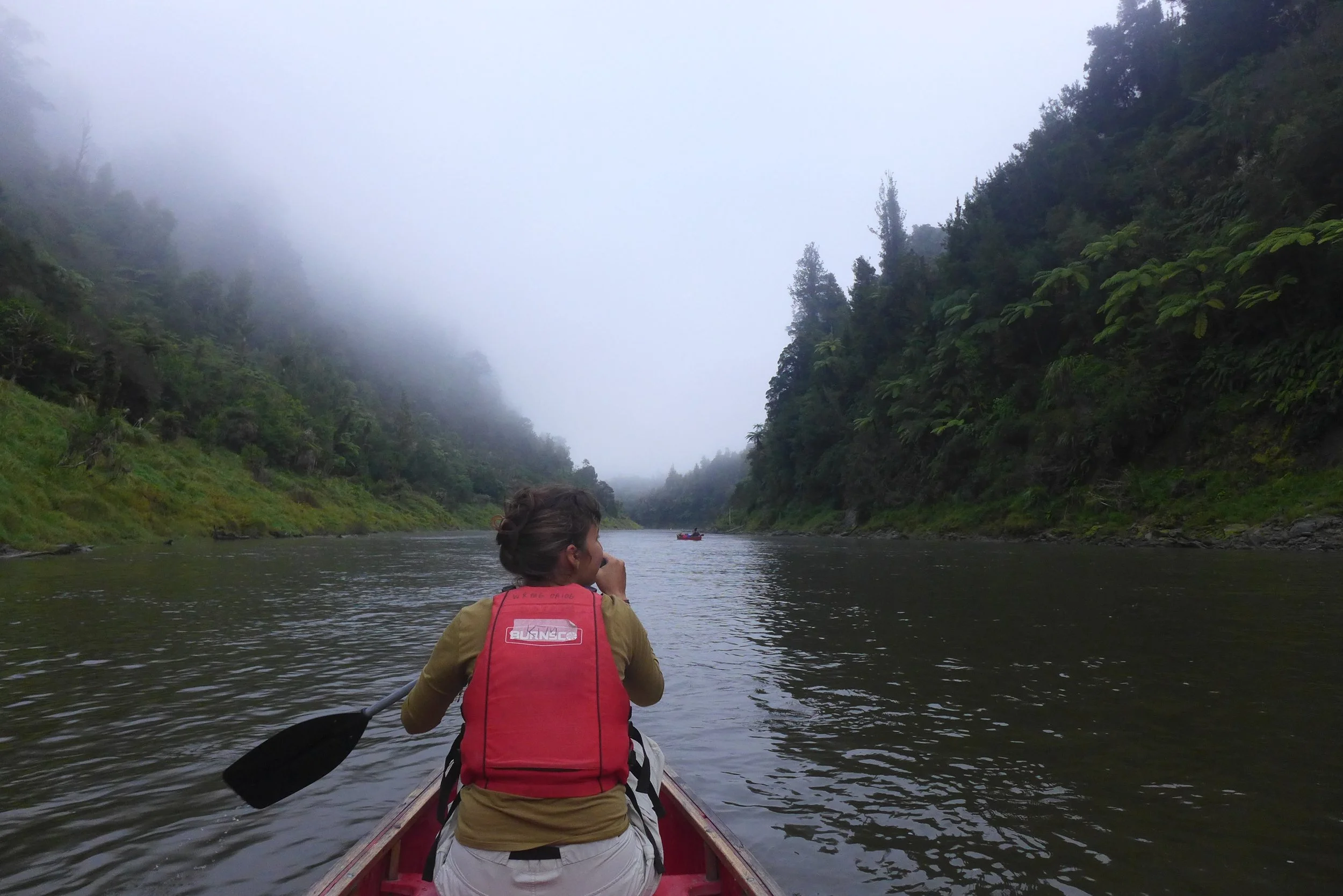 Fieldnotes in Aotearoa (2): Stepping into Reciprocity with the Earth