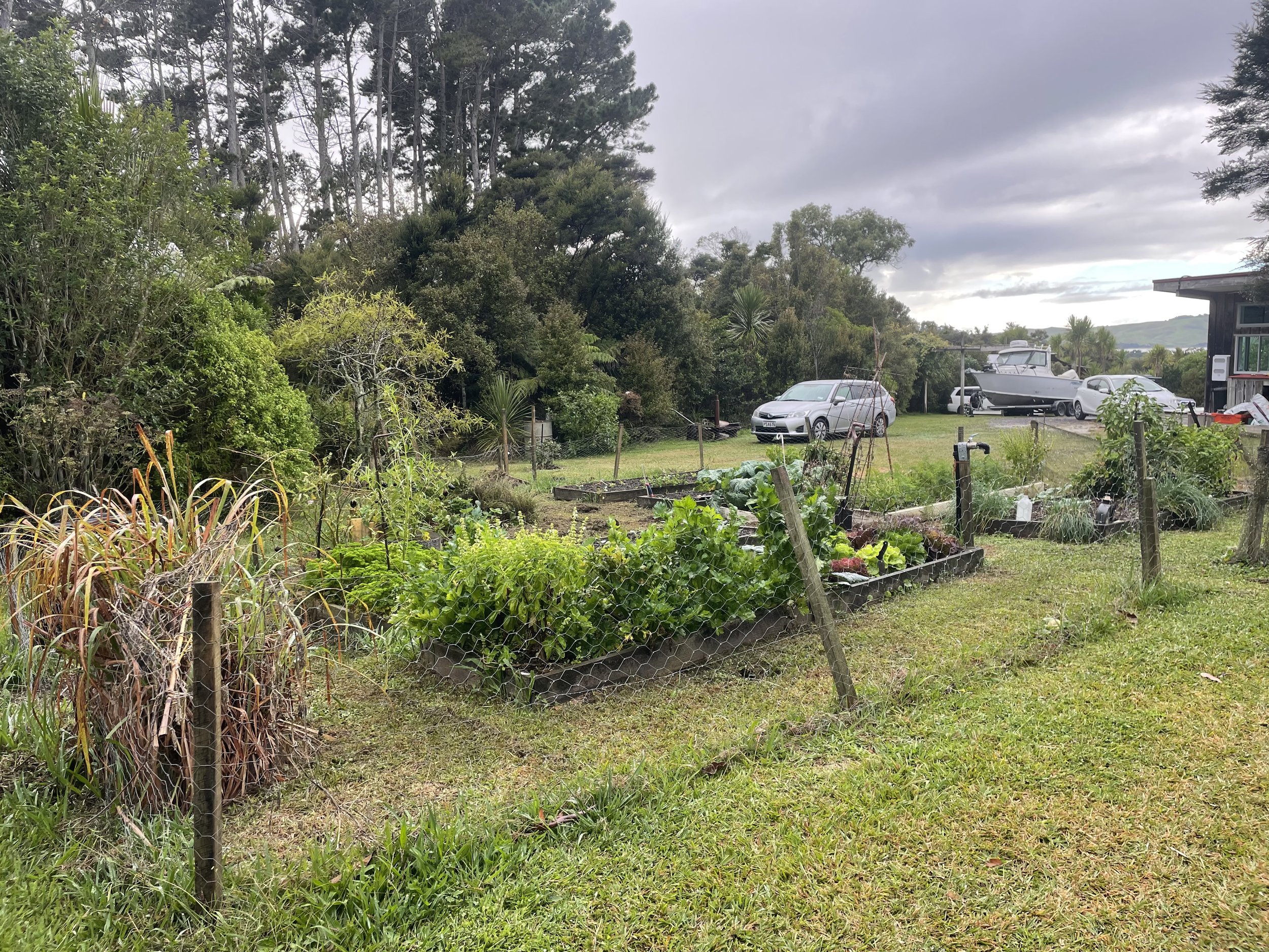  Vegetable garden, Tinopai 
