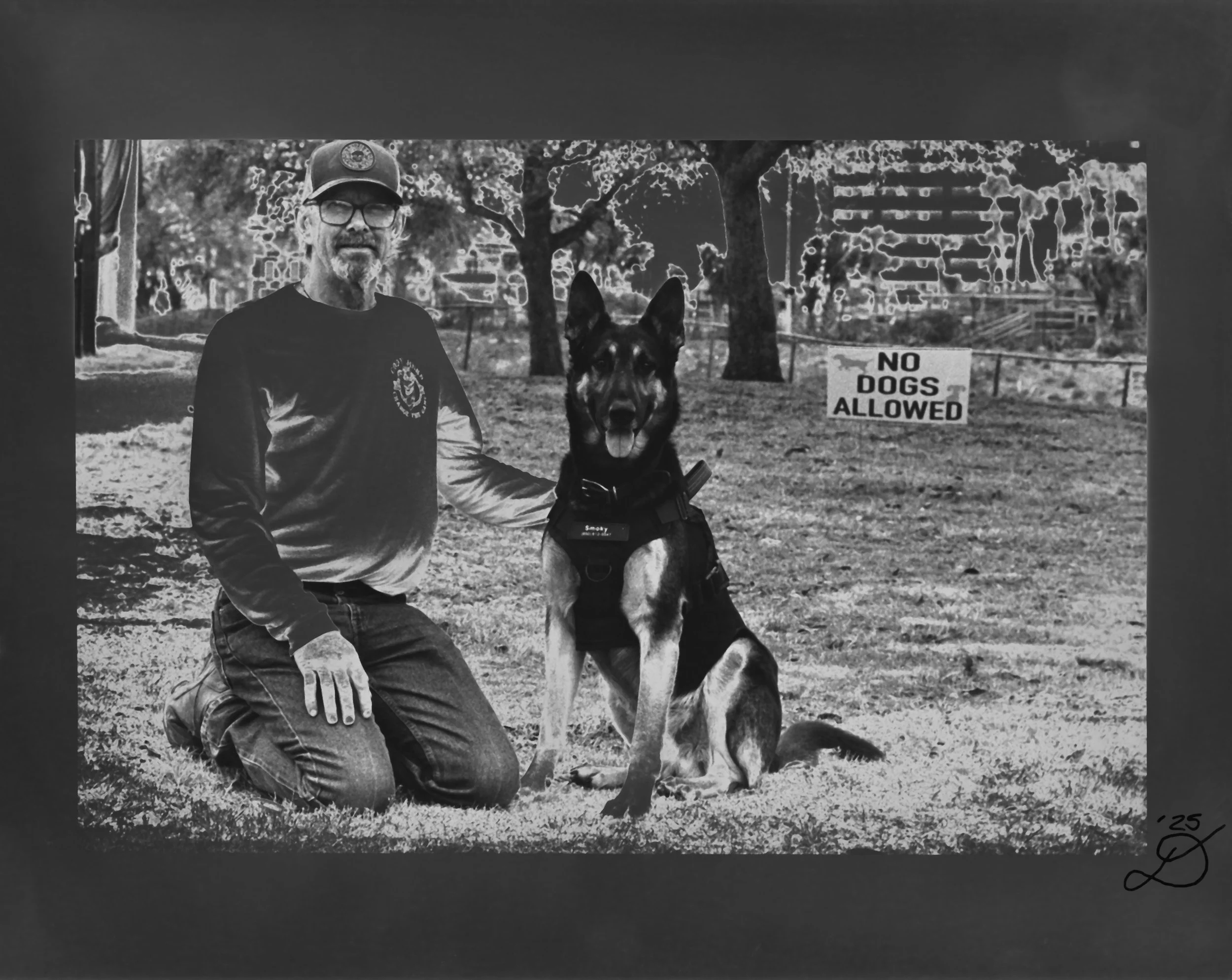 No Dogs Allowed055-Edit copy.jpg