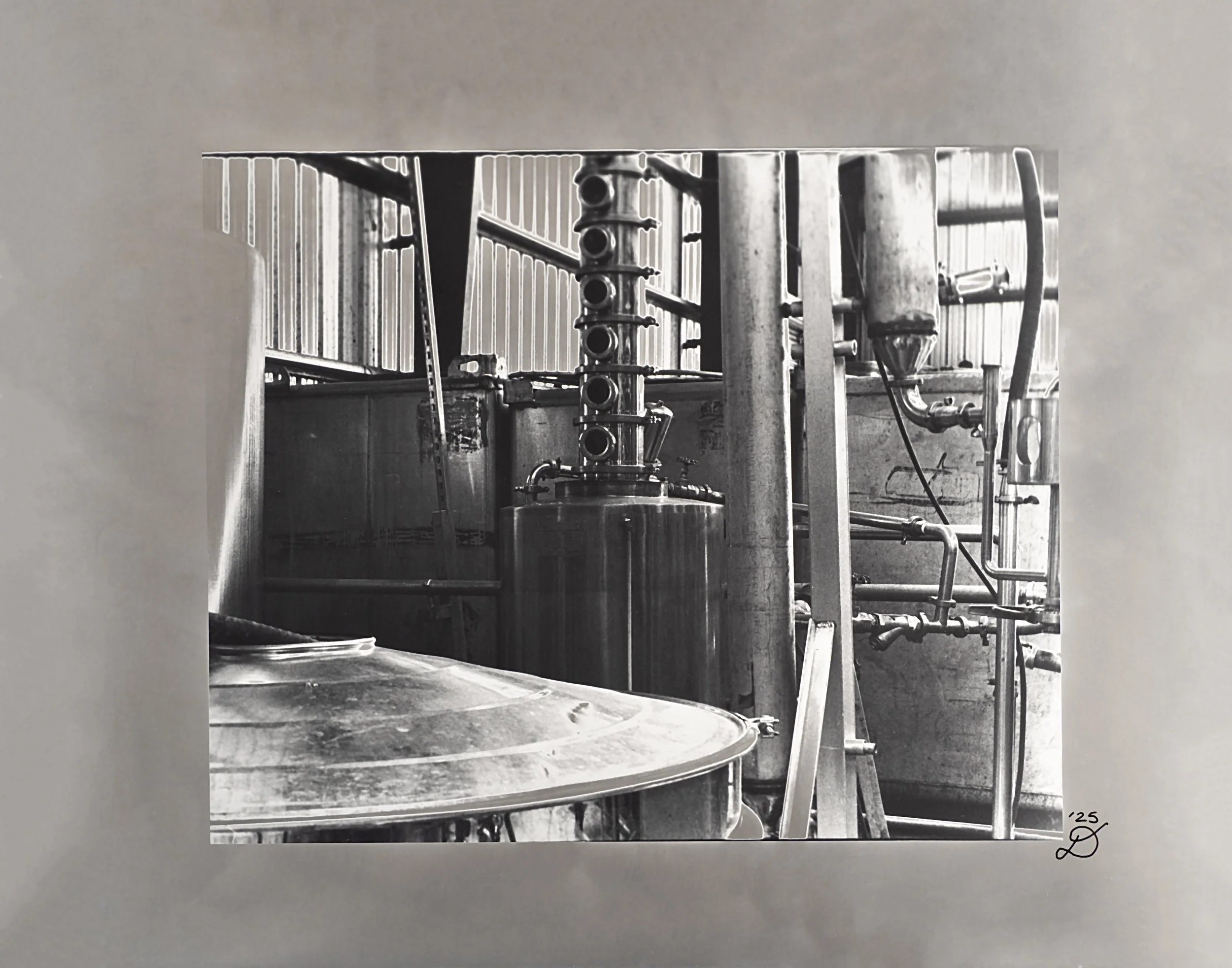 Timber Creek Solarized.jpg