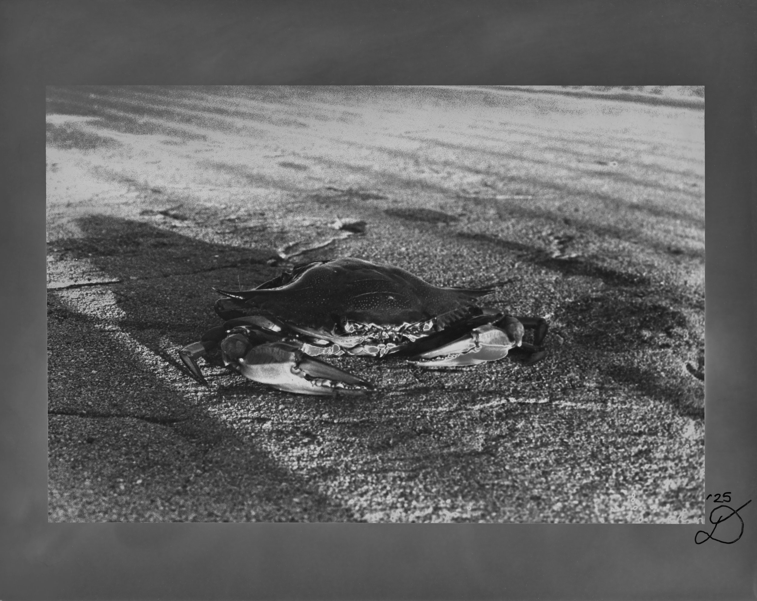 Karl Krab solar062 website.jpg