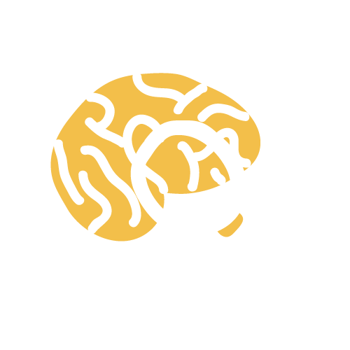 Illustration of a brain with a magnifying glass over it, representing brain research or analysis.