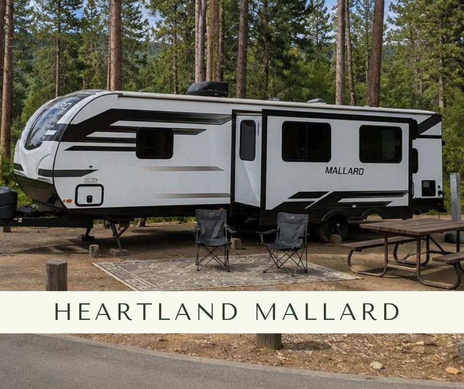 Heartland Mallard.jpg