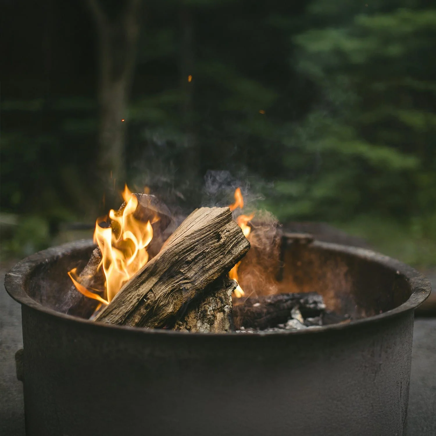 A fire in a fire pit with burning logs and orange flames outdoors, surrounded by green trees.