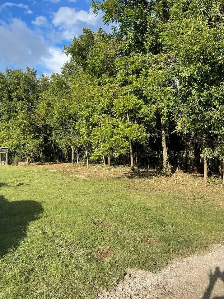 Forestry Mulching McMinnville, TN.jpg