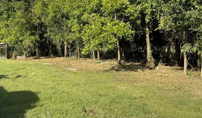 Cleared field edge after brush hogging and fence line maintenance