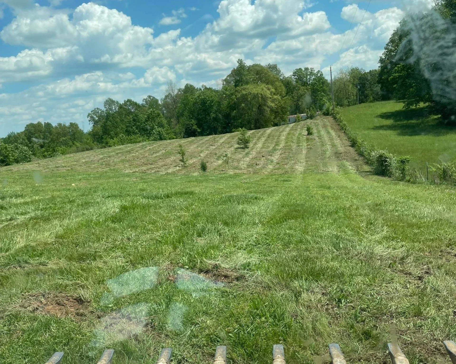 Brush removal and field clearing with heavy equipment in Walling, Tennessee — prepping land for sale.