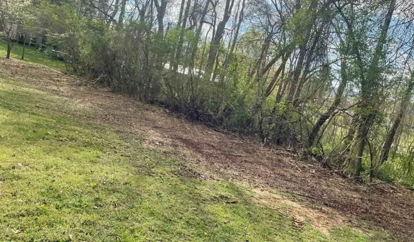 Brush hogging service clearing overgrown vegetation near tree line in McMinnville, TN
