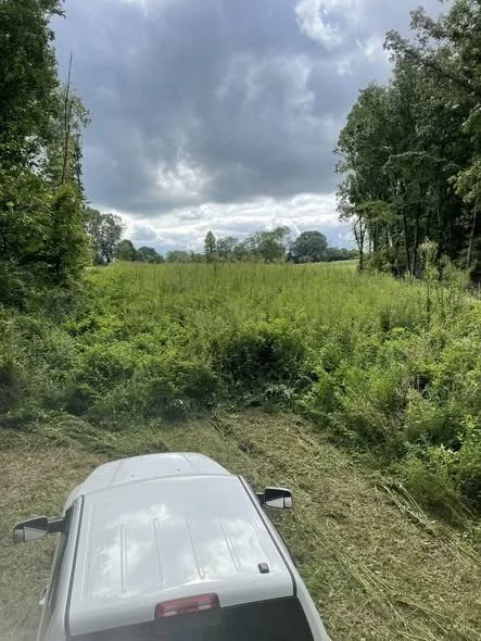 Overgrown field before brush hogging service in Estill Springs, TN