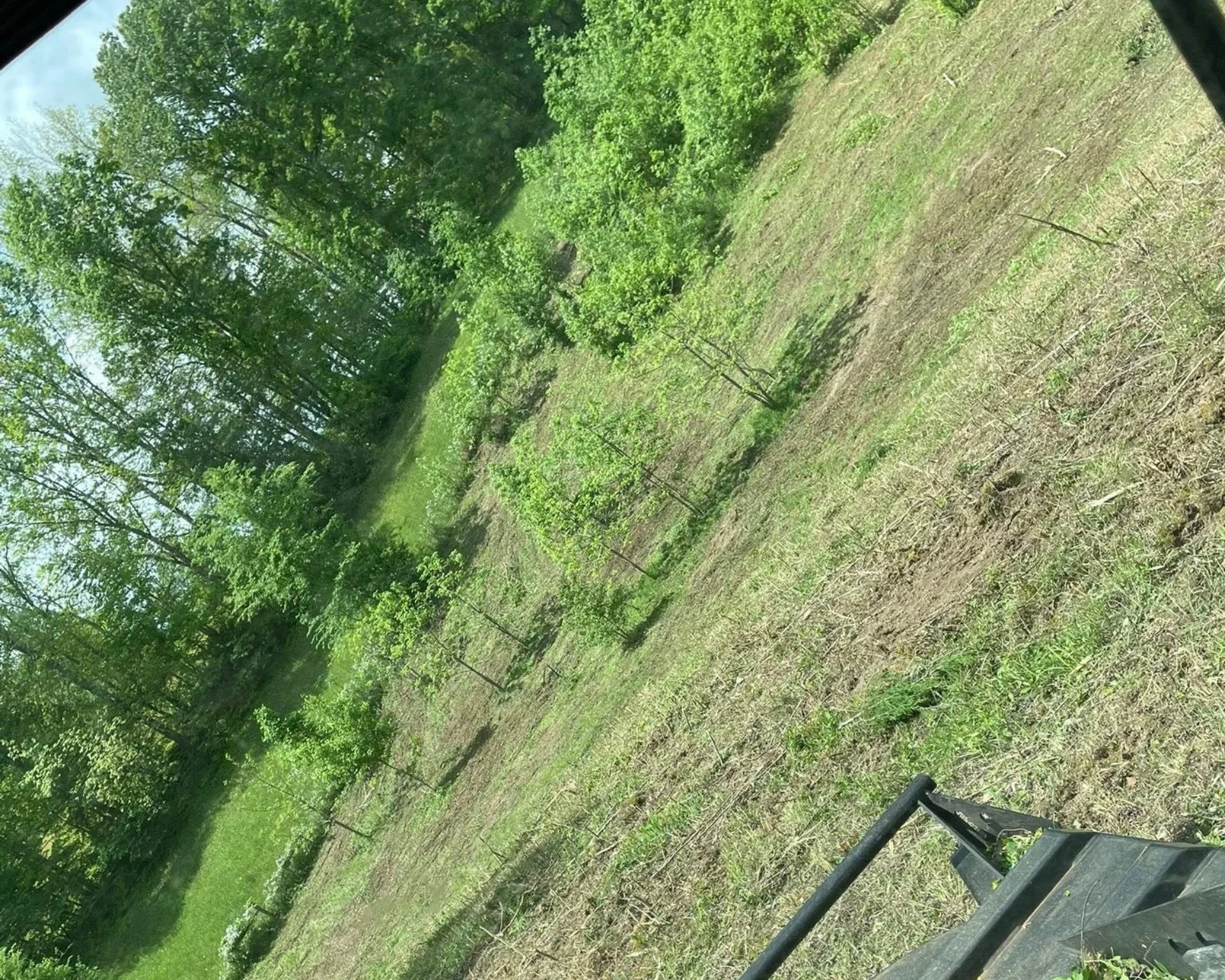 Hillside land clearing and vegetation removal — improving drainage and usability of the property.