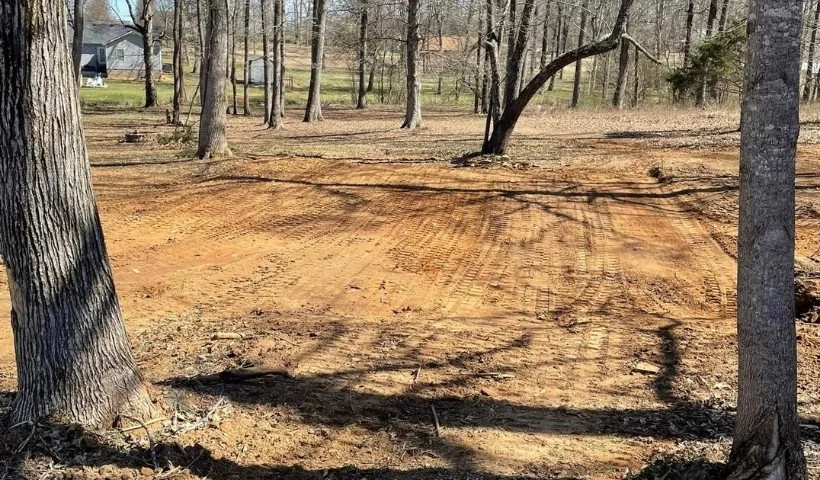 Forestry mulching and brush clearing using heavy equipment in Middle Tennessee