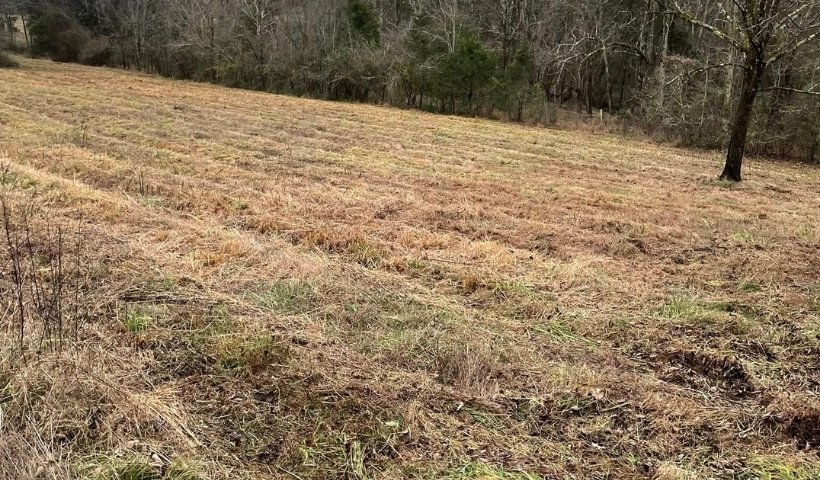 land-management-and-land-clearing-services-mcminnville-tennessee (3).jpg