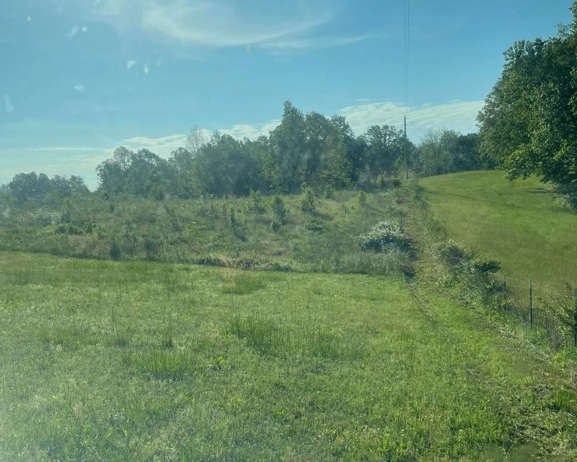 Land clearing and brush cutting project in Walling, TN — opening overgrown property for new use.