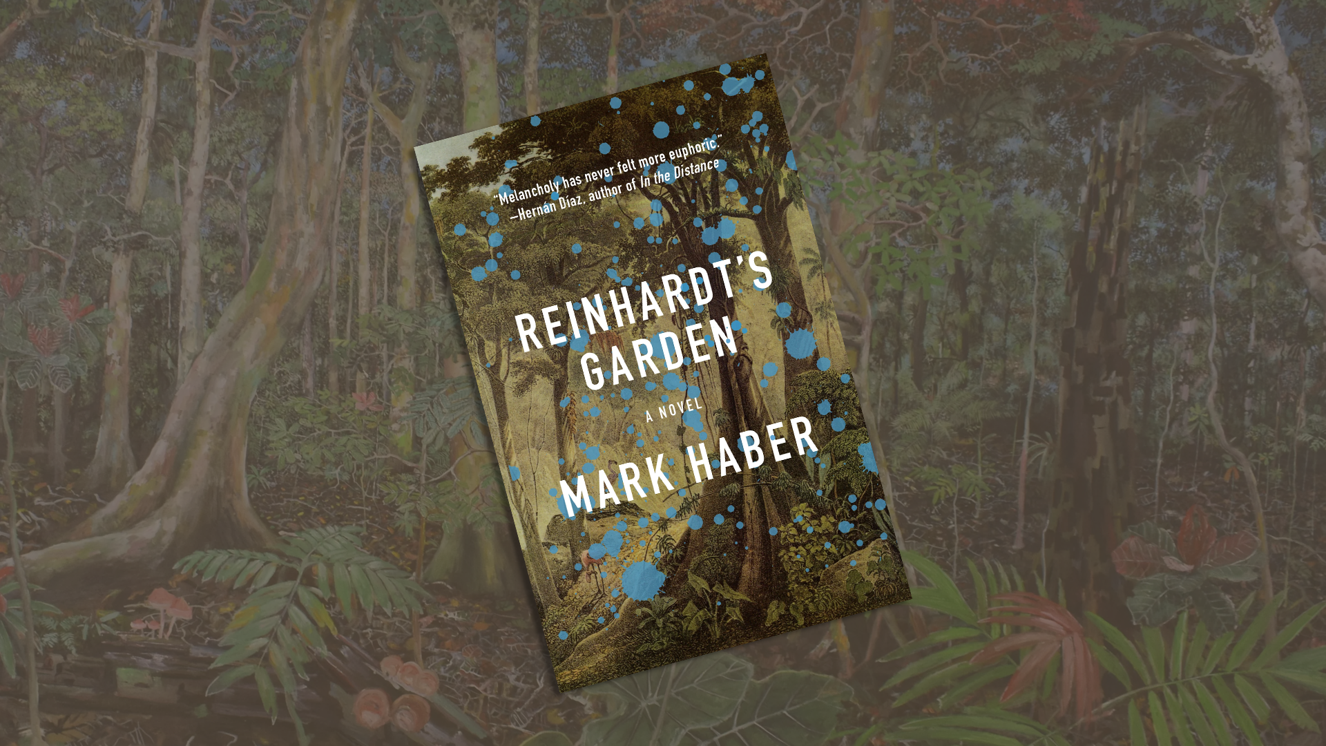 The Dizziness of Insignificance