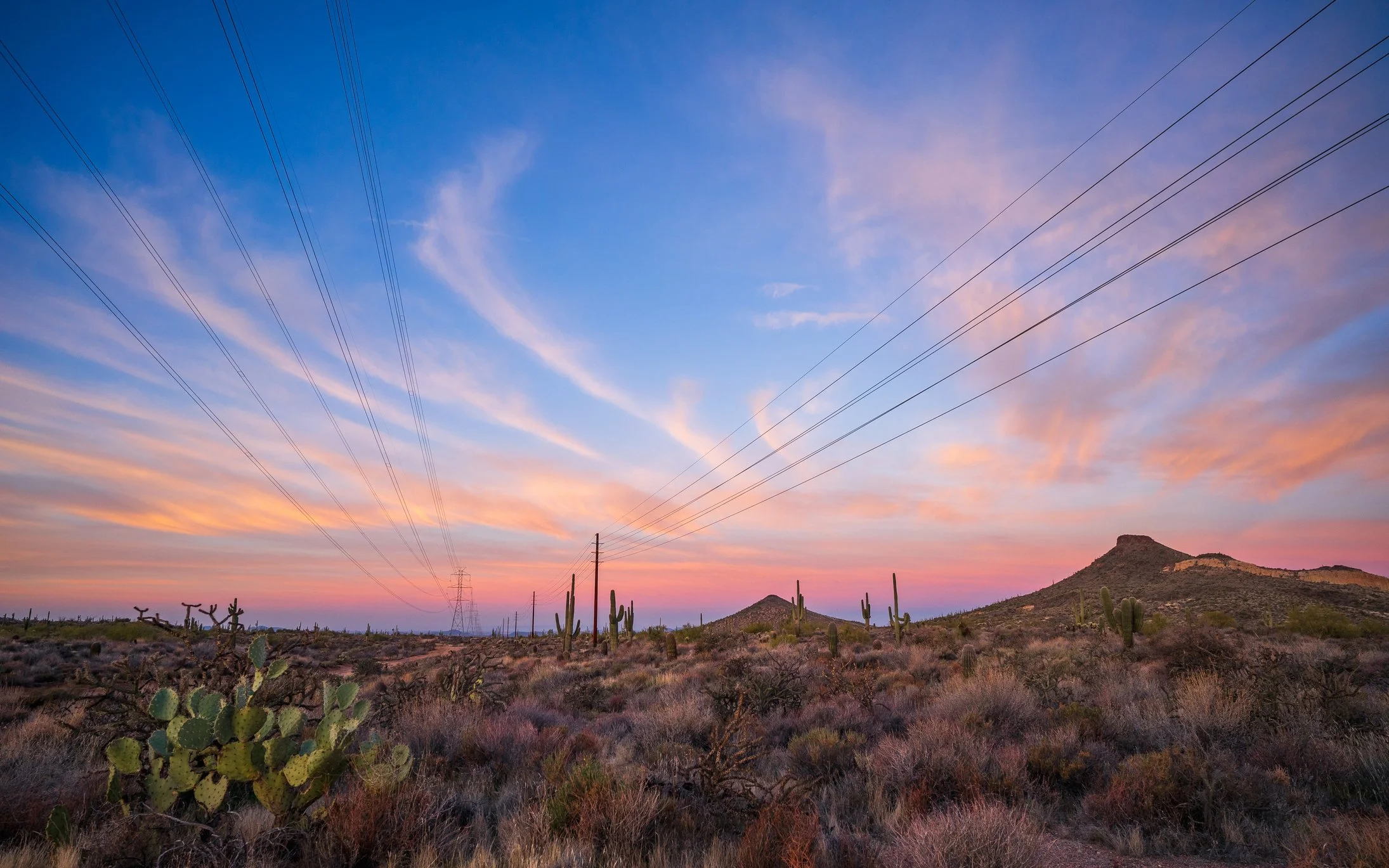Desert landscape at sunset with cacti, bushes, mountain, and power lines in the sky.