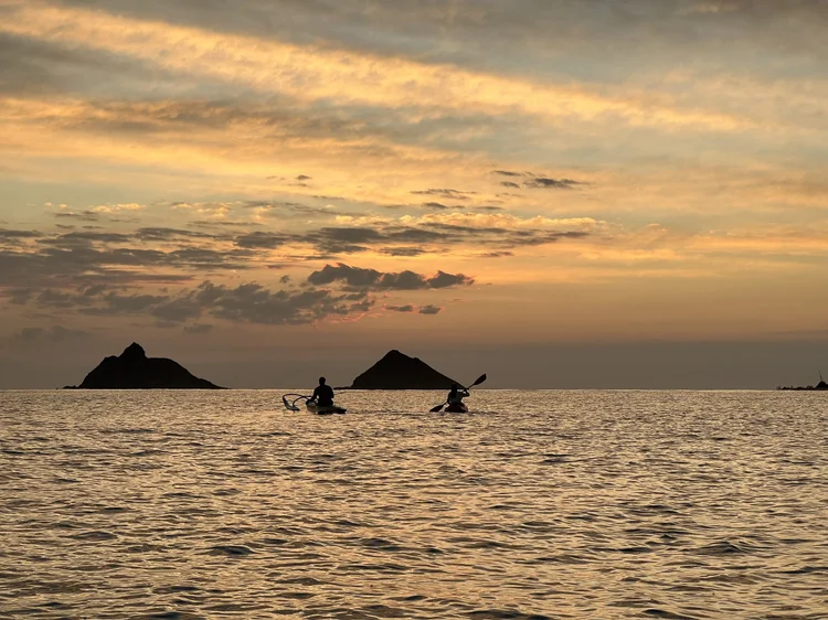 Hawaiian inspired wellness — Harmony Living Co.