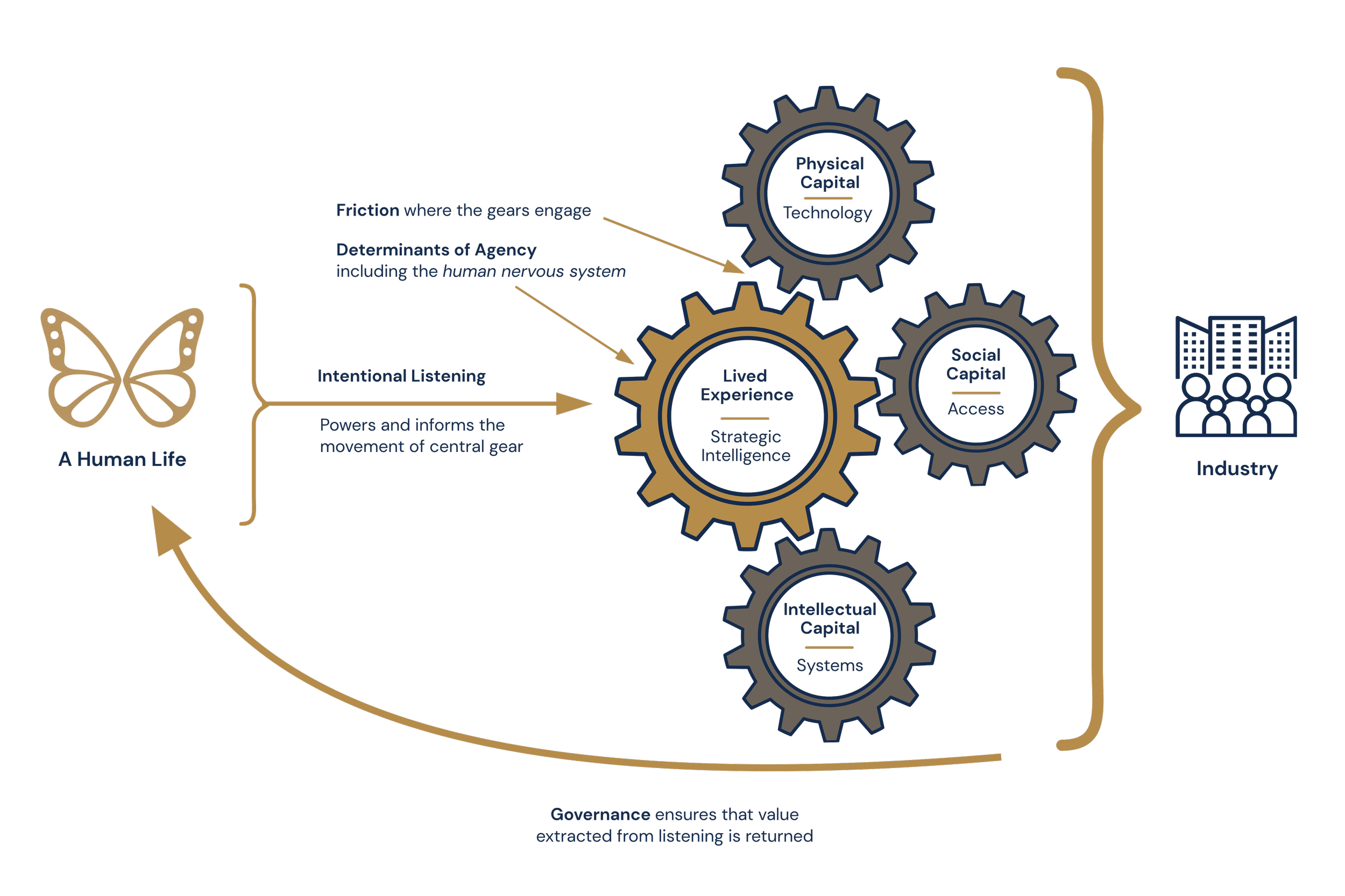 The Monarch Model™ showing lived experience as strategic intelligence connecting physical capital (technology), social capital (access), and intellectual capital (systems) through intentional listening and governance to improve healthcare outcomes.