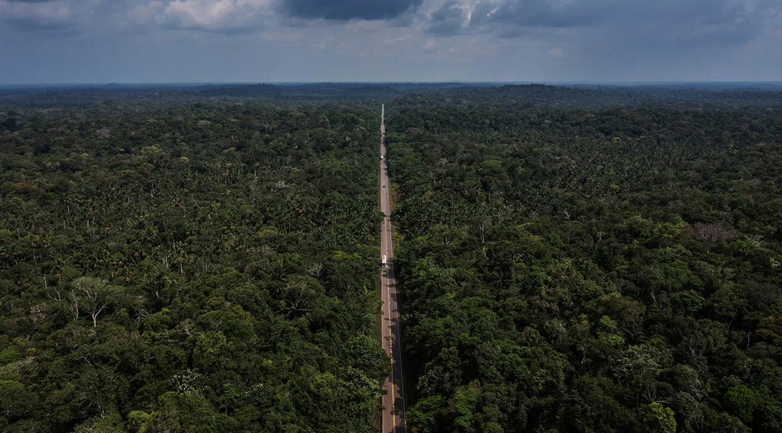 Brazil at the Crossroads — Tropical Forests, COP30 &amp; Insights from The Economist