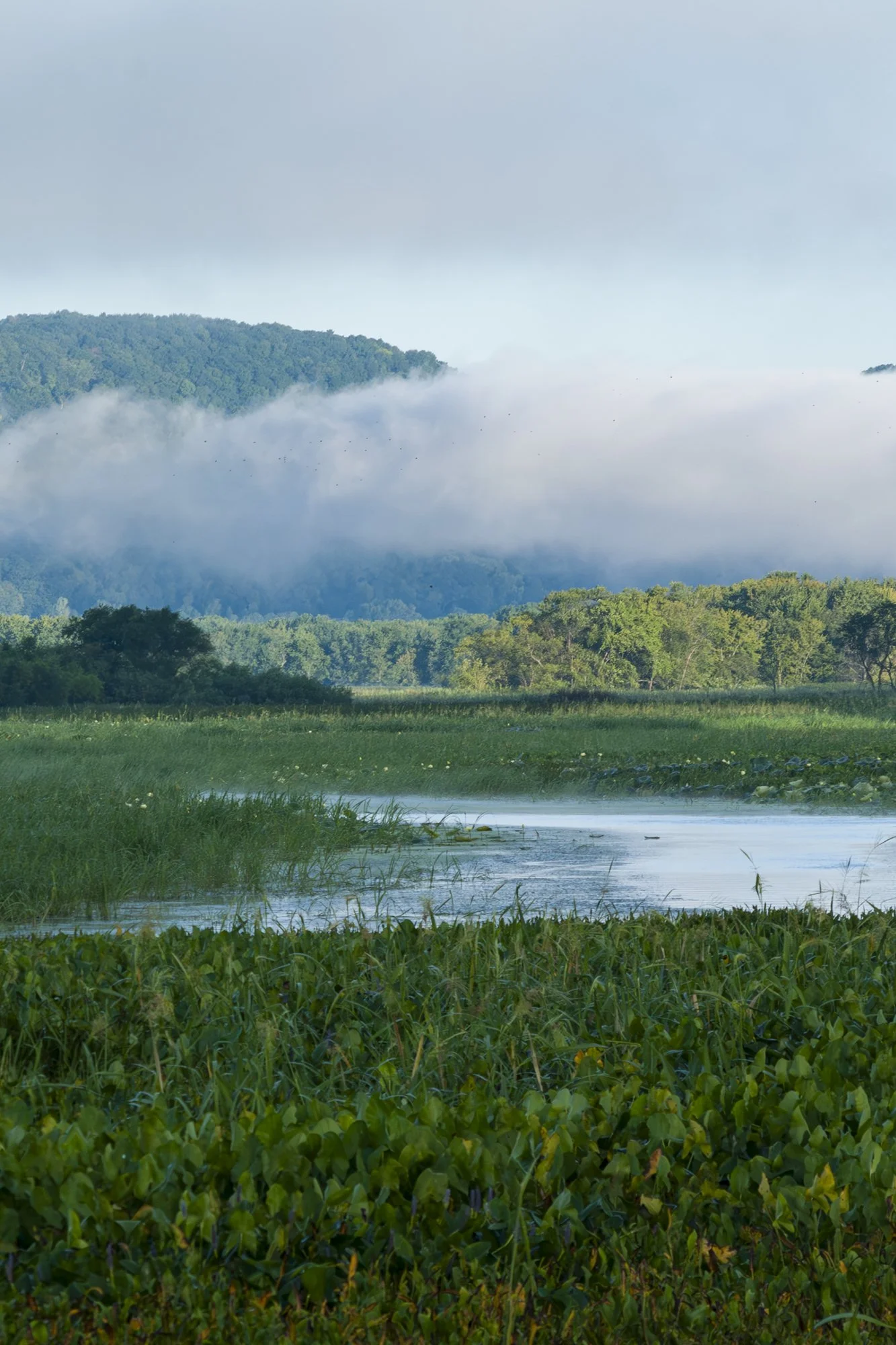 The River We Have Sought: A River’s Mortality