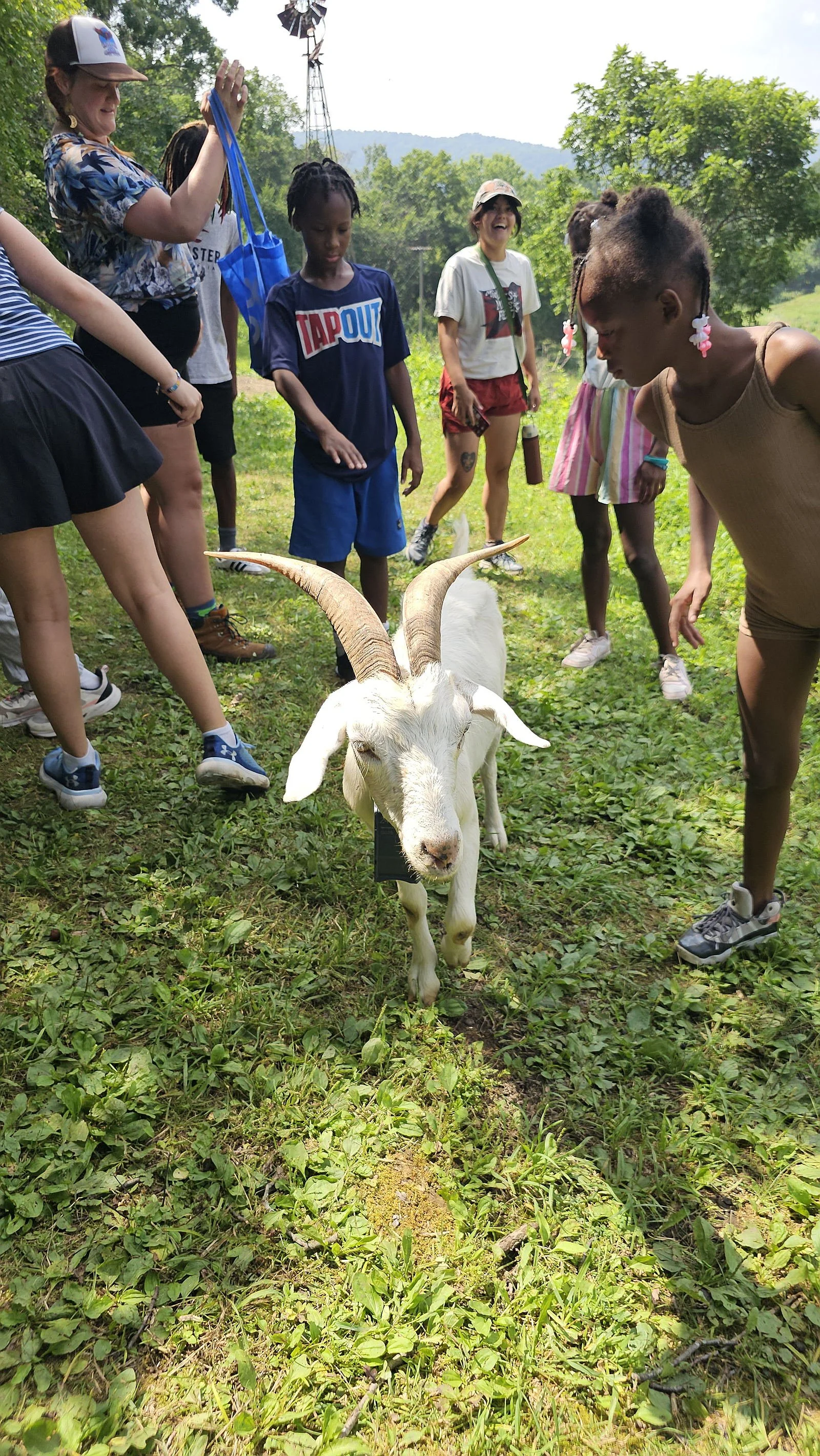 Group of children and adults gathered around a small white goat with large curved horns outdoors on a grassy field.