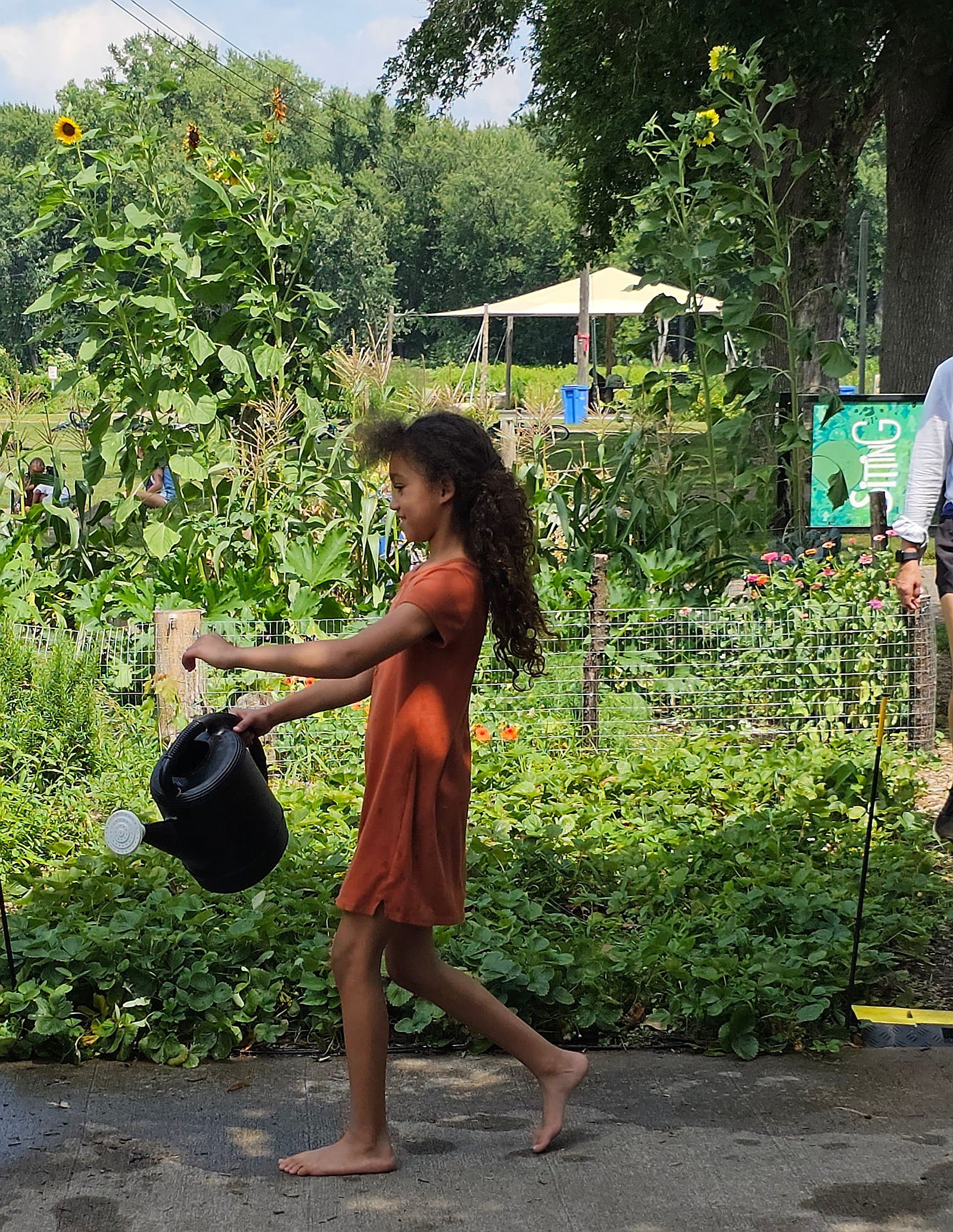 A girl watering plants in a garden with green plants, sunflowers, and trees in the background.