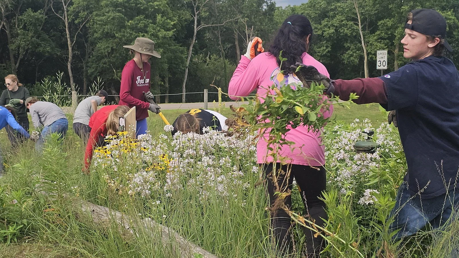 People planting flowers and working in a garden or flower bed outdoors.
