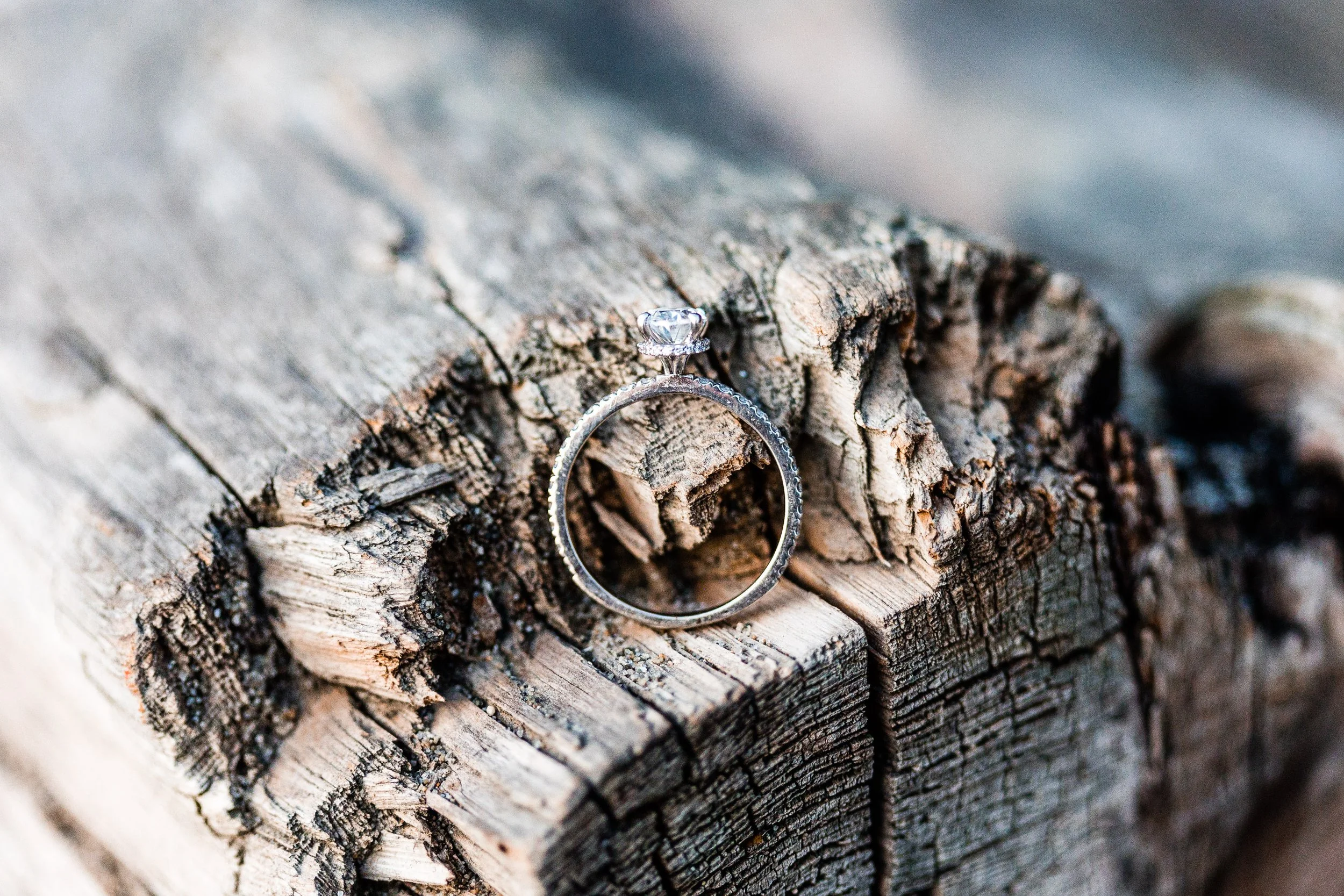 ALP_BrittanieNathanEngaged-53.JPG