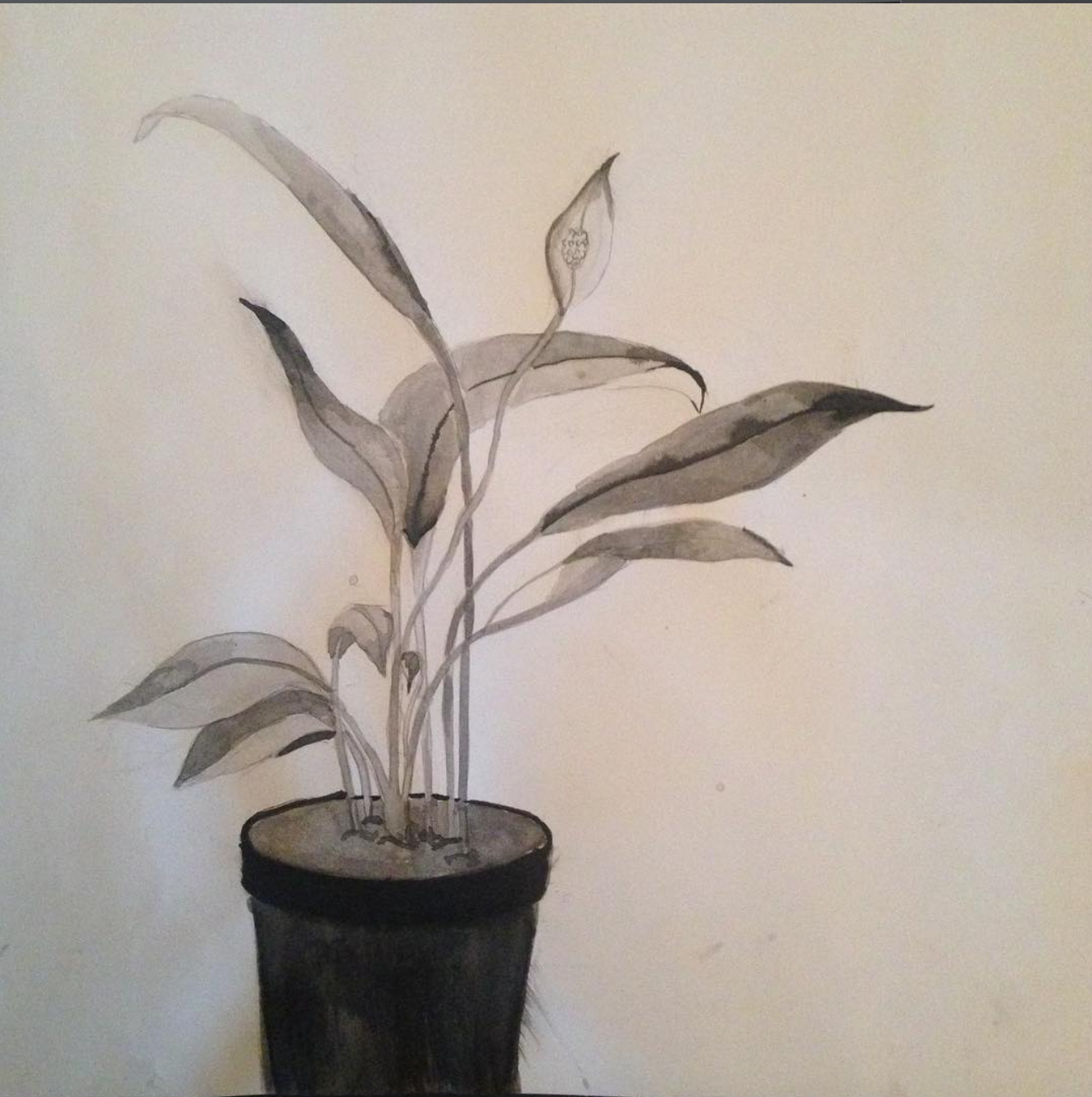 Screenshot 2025-12-22 at 3.08.31 PM.png