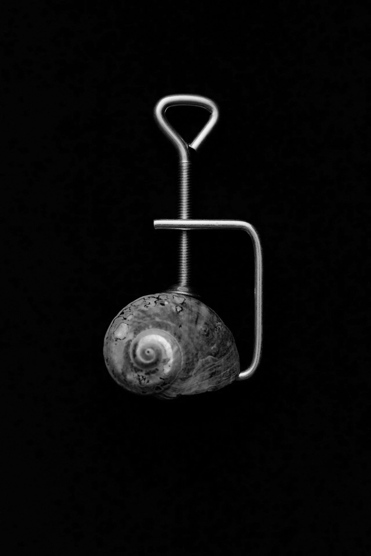 Constraints Aren’t Obstacles, They’re Design Tools