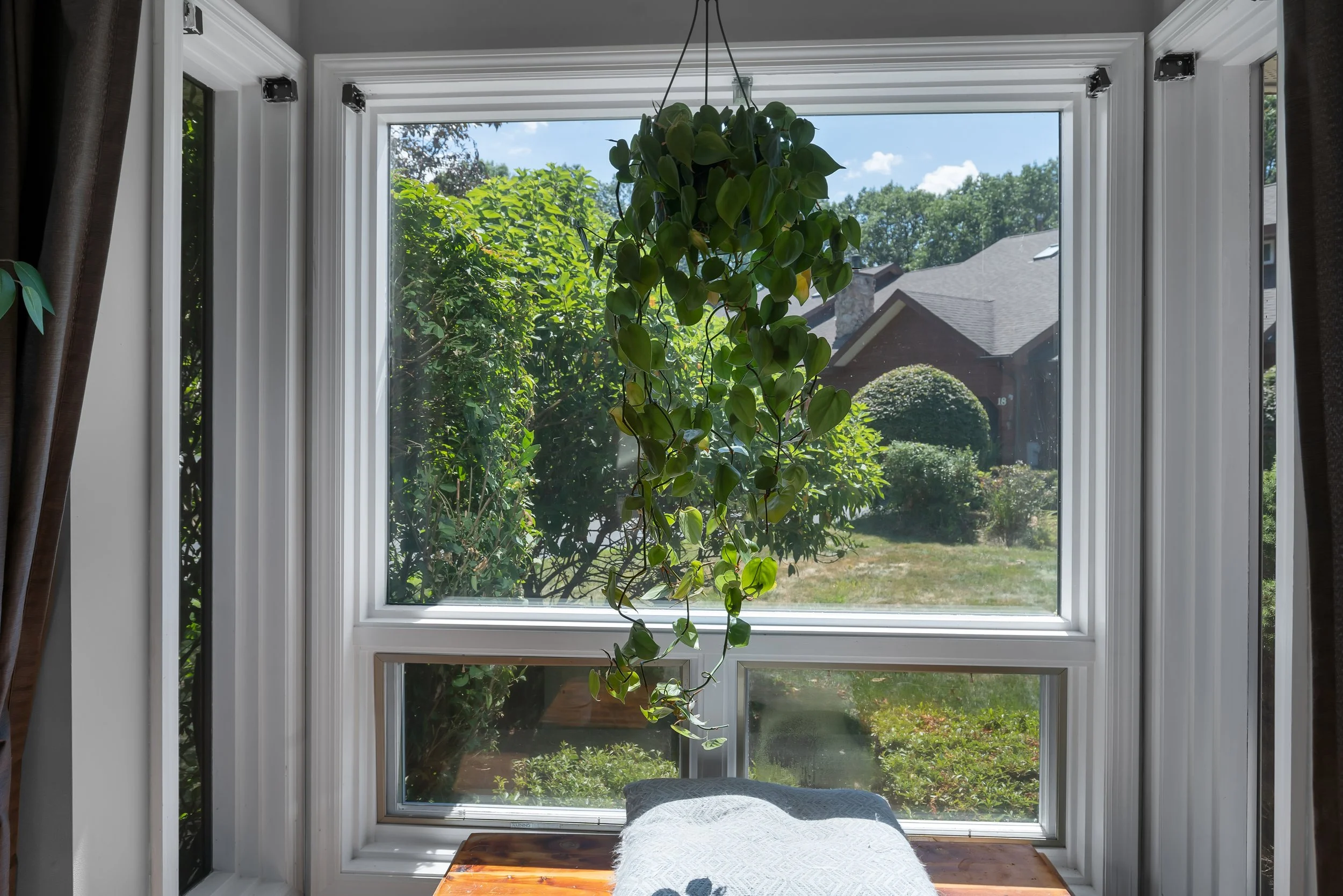 Dining area: detailed shot