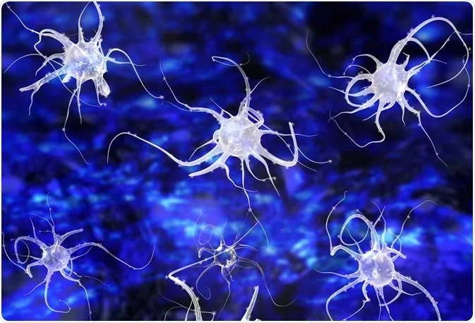 The Mirror Neuron System and Autism Spectrum Disorder