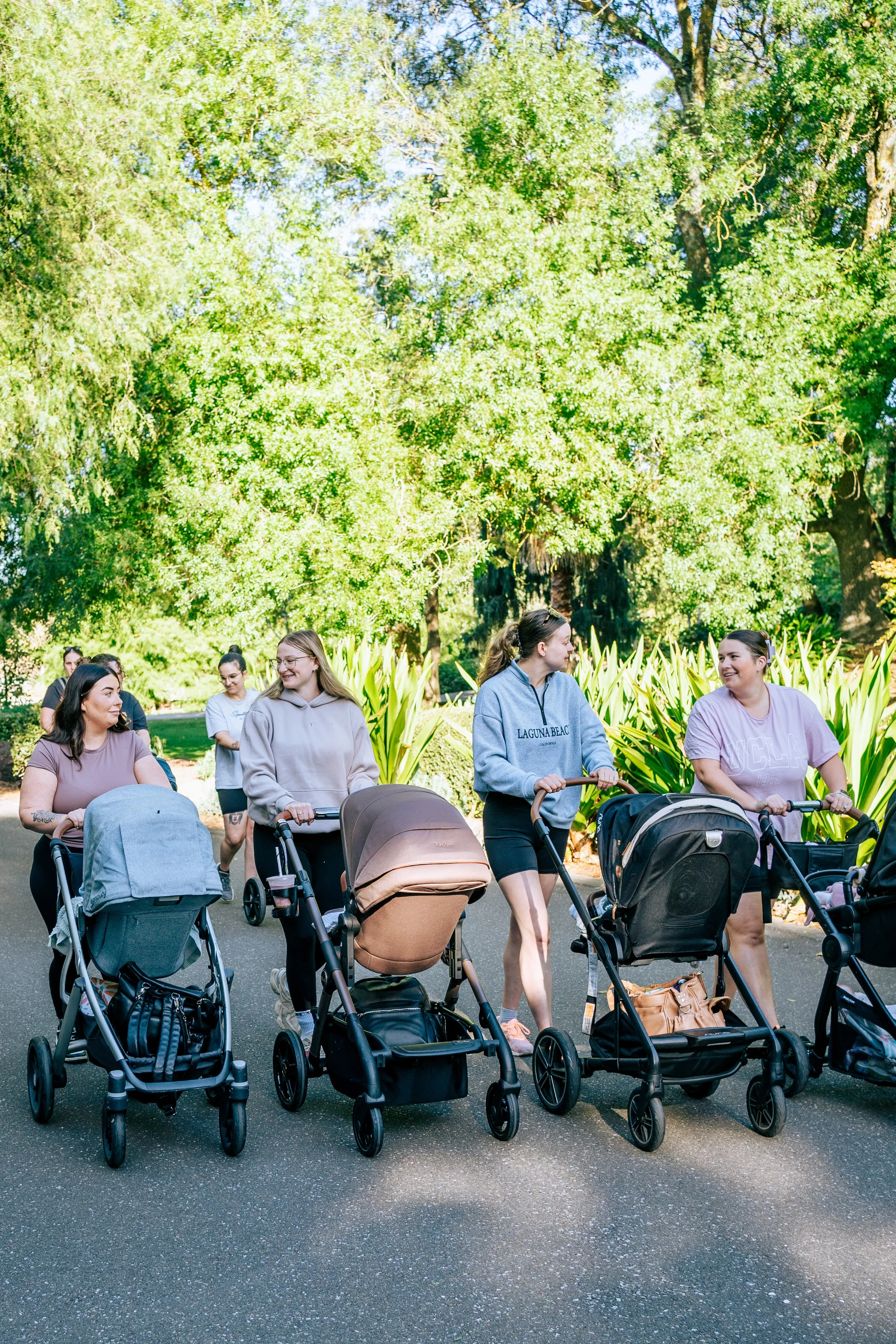 Group of women walking with strollers in a park with green trees and bushes.