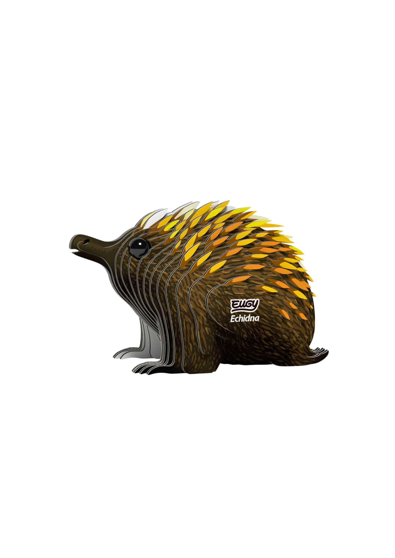 Echidna Eugy