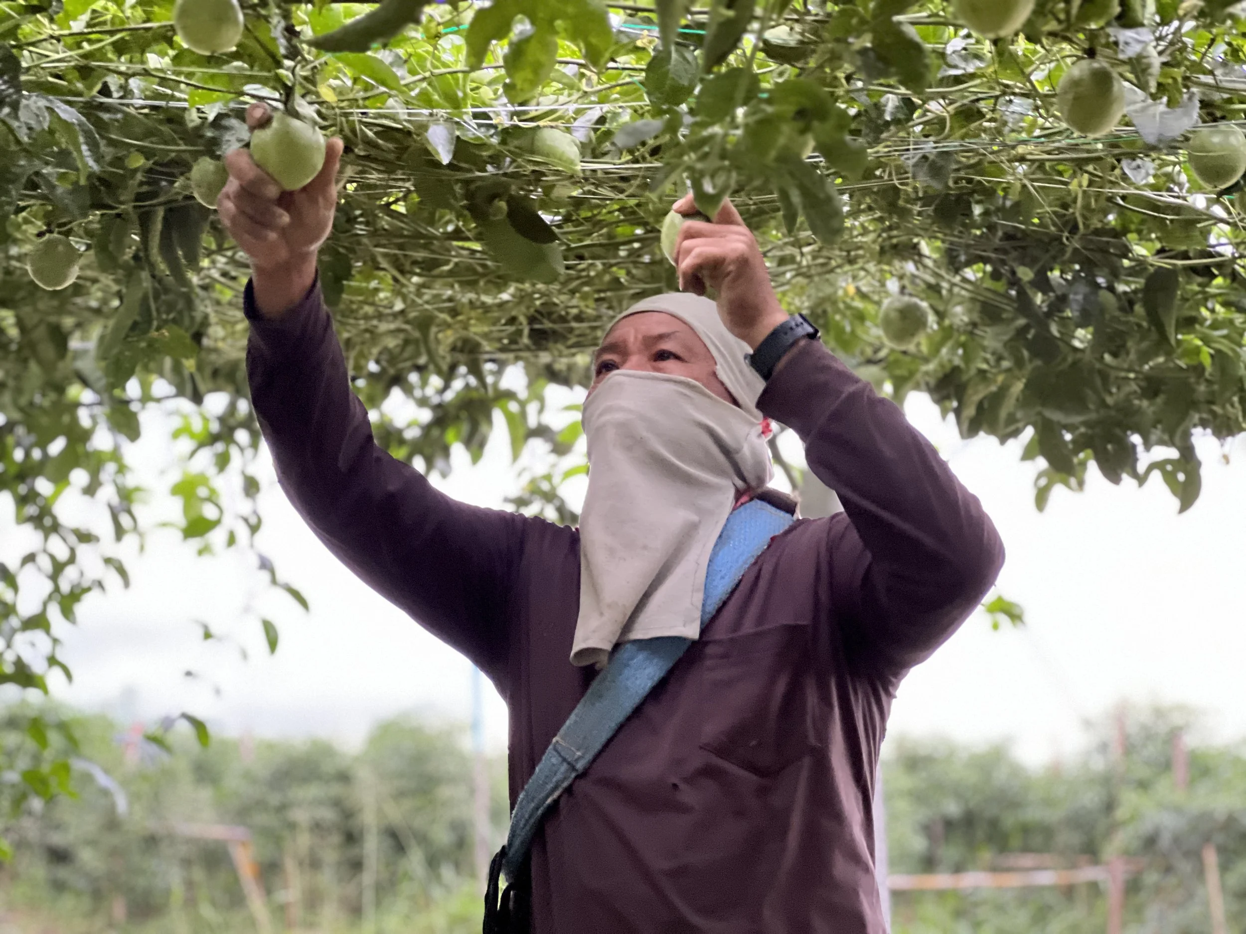 I Never Thought I’d Travel Out of the Country