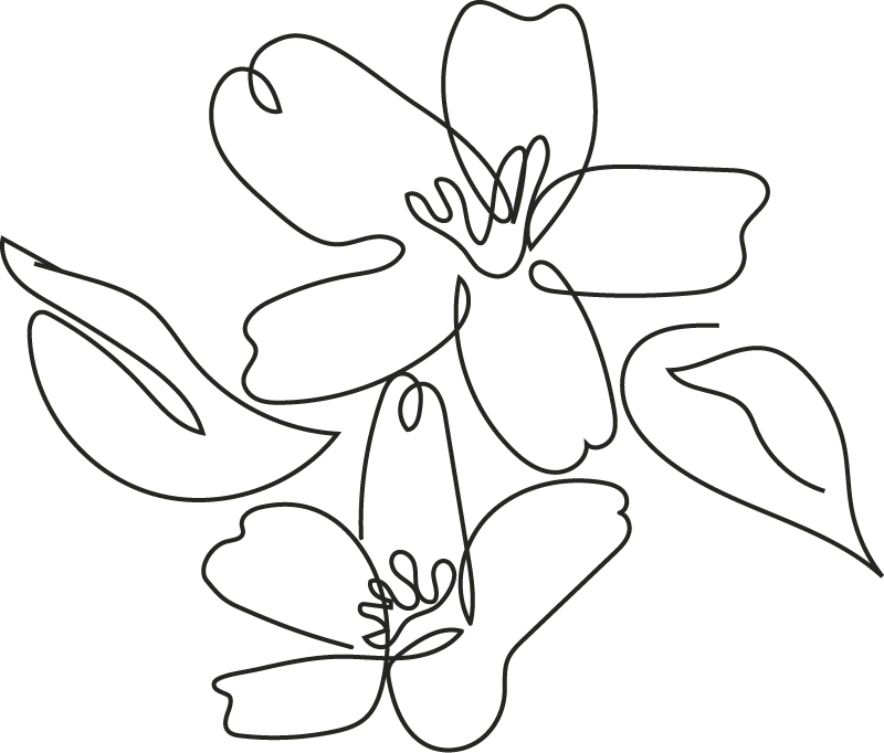Illustrated flowers in black