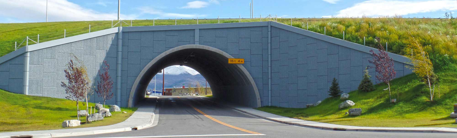 Puente vehicular de concreto con estructura de BridgeCore en área con árboles y montañas al fondo.