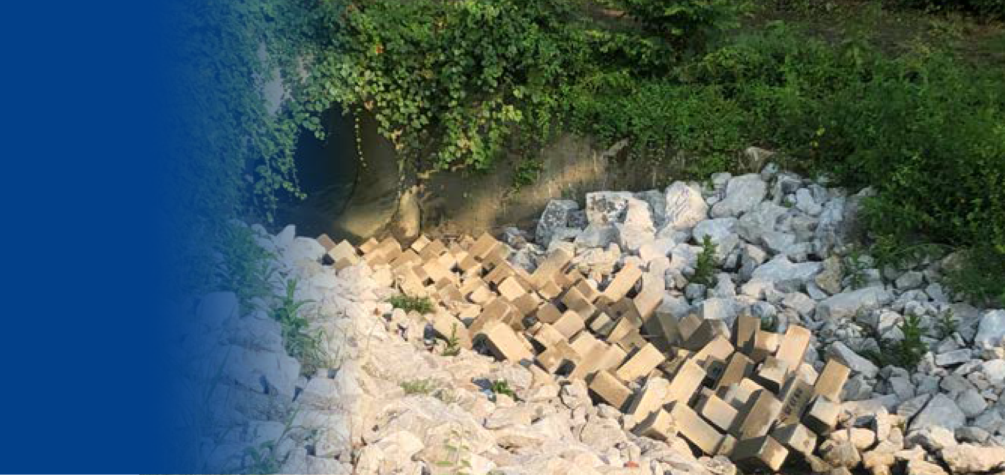 Muro de bloques de cemento en una pendiente de tierra, rodeado de vegetación verde